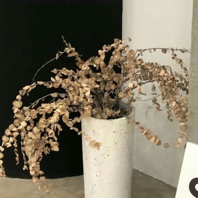 兽设沙漠场景设计福瑞交流群